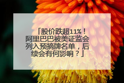 股价跌超11%!阿里巴巴被美证监会列入预摘牌名单,后续会有何影响?