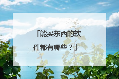 能买东西的软件都有哪些？