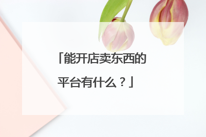 能开店卖东西的平台有什么?