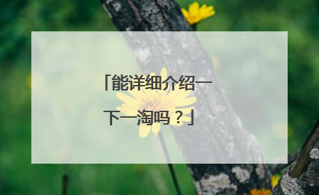 能详细介绍一下一淘吗?