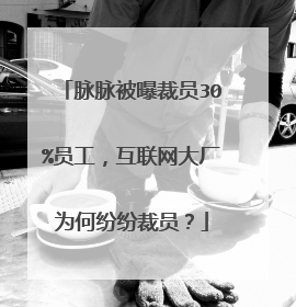 脉脉被曝裁员30%员工,互联网大厂为何纷纷裁员?