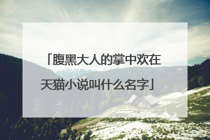 腹黑大人的掌中欢在天猫小说叫什么名字