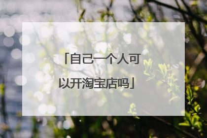 自己一个人可以开淘宝店吗