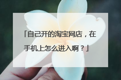 自己开的淘宝网店,在手机上怎么进入啊?