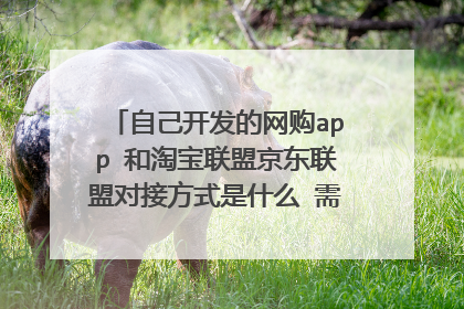 自己开发的网购app 和淘宝联盟京东联盟对接方式是什么 需要准备什么材料