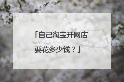自己淘宝开网店要花多少钱?