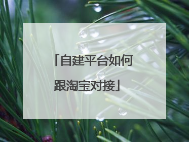 自建平台如何跟淘宝对接