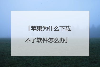 苹果为什么下载不了软件怎么办
