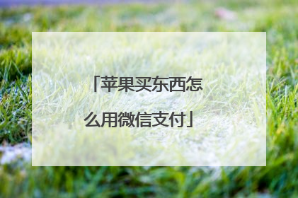 苹果买东西怎么用微信支付