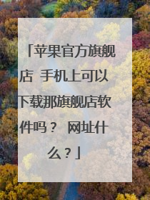 苹果官方旗舰店 手机上可以下载那旗舰店软件吗? 网址什么?