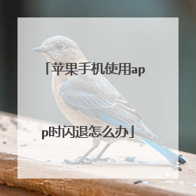 苹果手机使用app时闪退怎么办