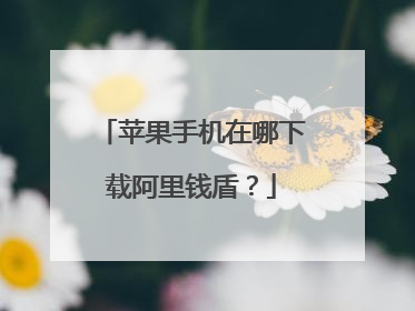 苹果手机在哪下载阿里钱盾?