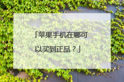 苹果手机在哪可以买到正品?