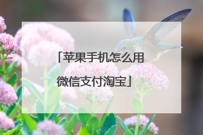 苹果手机怎么用微信支付淘宝