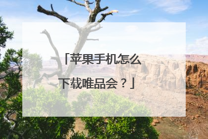 苹果手机怎么下载唯品会?