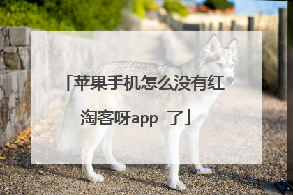 苹果手机怎么没有红淘客呀app 了