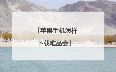 苹果手机怎样下载唯品会