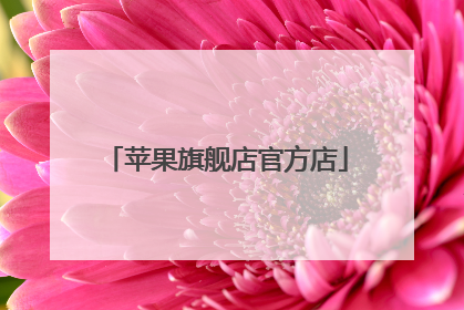 苹果旗舰店官方店