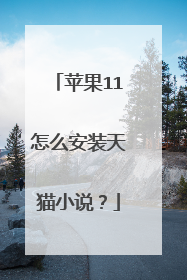 苹果11怎么安装天猫小说?