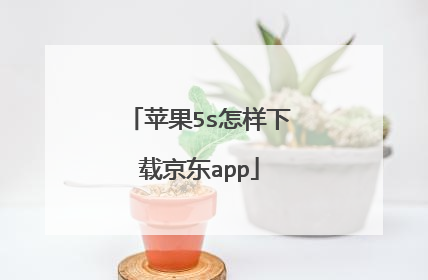 苹果5s怎样下载京东app