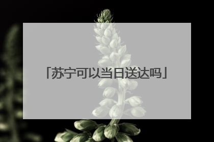 苏宁可以当日送达吗