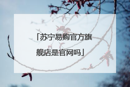 苏宁易购官方旗舰店是官网吗