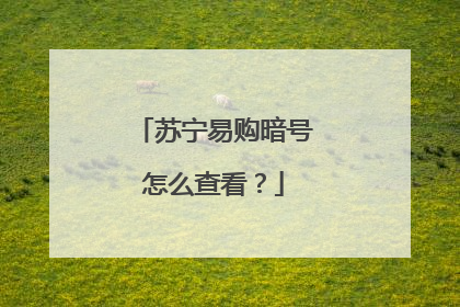 苏宁易购暗号怎么查看?