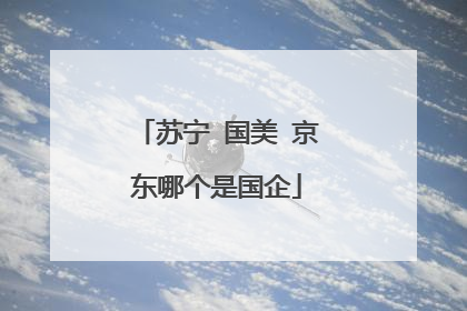苏宁 国美 京东哪个是国企