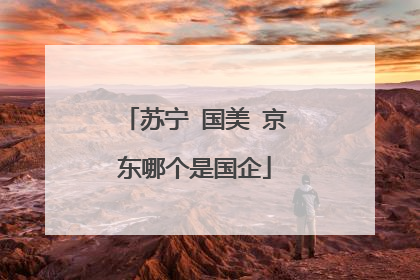 苏宁 国美 京东哪个是国企