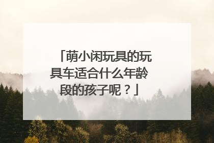 萌小闲玩具的玩具车适合什么年龄段的孩子呢?