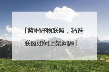 蓝帽好物联盟,精选联盟如何上架问题