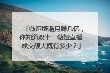 薇娅辟谣月赚几亿,你知道双十一薇娅直播成交额大概有多少?