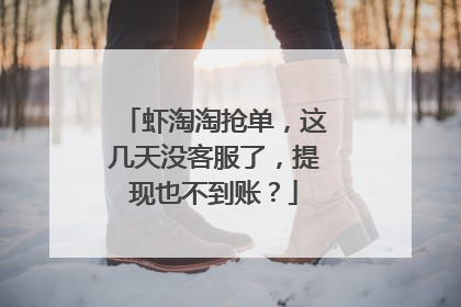 虾淘淘抢单,这几天没客服了,提现也不到账?
