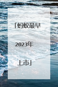 蚂蚁最早2023年上市