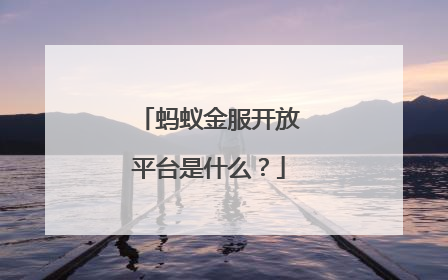 蚂蚁金服开放平台是什么?