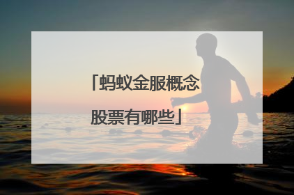 蚂蚁金服概念股票有哪些
