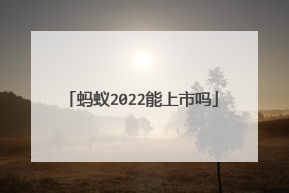 蚂蚁2022能上市吗
