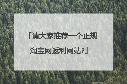 请大家推荐一个正规淘宝网返利网站?