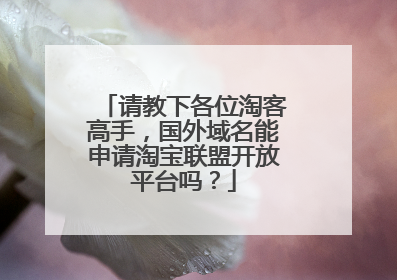 请教下各位淘客高手,国外域名能申请淘宝联盟开放平台吗?