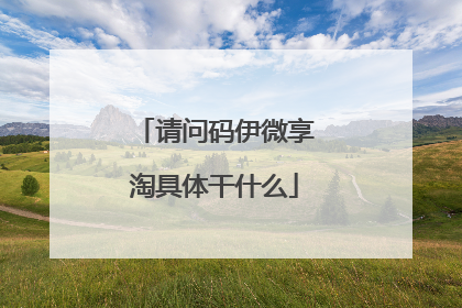 请问码伊微享淘具体干什么
