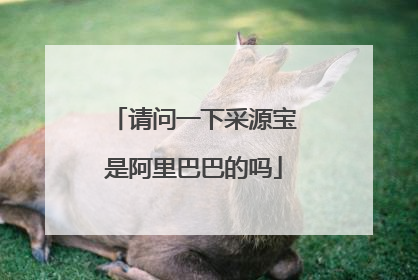 请问一下采源宝是阿里巴巴的吗