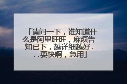 请问一下,谁知道什么是阿里旺旺,麻烦告知已下,越详细越好...要快啊,急用