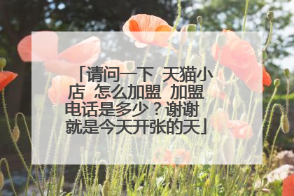 请问一下 天猫小店 怎么加盟 加盟电话是多少?谢谢 就是今天开张的天