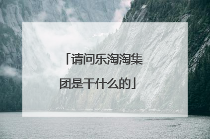 请问乐淘淘集团是干什么的