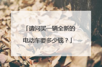 请问买一辆全新的电动车要多少钱?