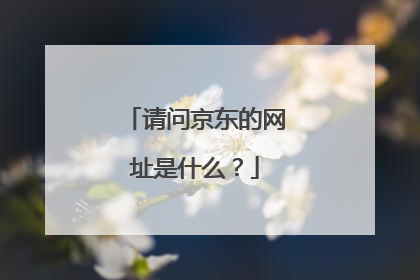 请问京东的网址是什么?