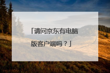 请问京东有电脑版客户端吗?