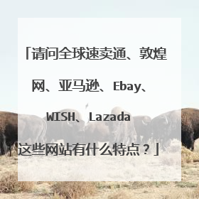 请问全球速卖通、敦煌网、亚马逊、Ebay、WISH、Lazada这些网站有什么特点?