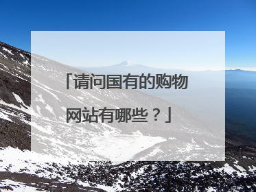 请问国有的购物网站有哪些?
