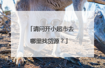 请问开小超市去哪里找货源?